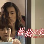 台湾ドラマ｜薔薇之恋～薔薇のためにのフル動画を日本語字幕で見れる無料配信サービス