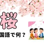 【発音付】「桜・お花見」中国語で何？今スグ使える例文5選！
