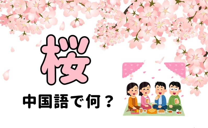 【発音付】「桜・お花見」中国語で何？今スグ使える例文5選！