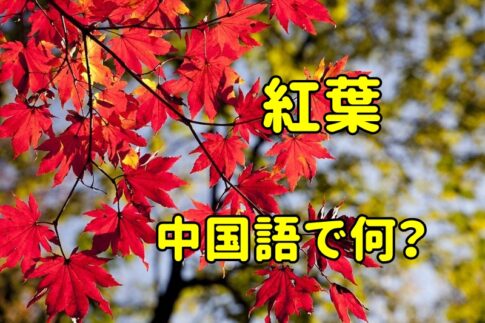 「紅葉」の中国語