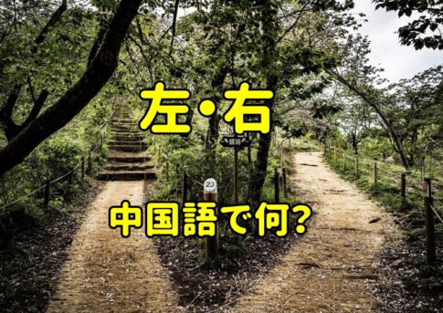 「左右」の中国語