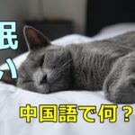 「眠い」の中国語