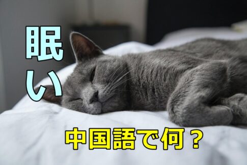 「眠い」の中国語