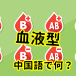 【発音付】血液型は中国語で何？今スグ使える例文5選！