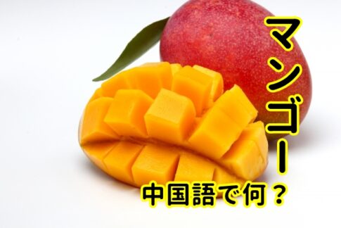 【発音付】マンゴーは中国語で何?今スグ使える例文5選!